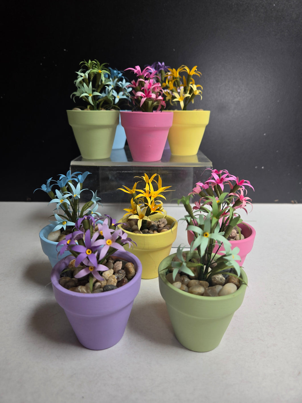 Miniature plants